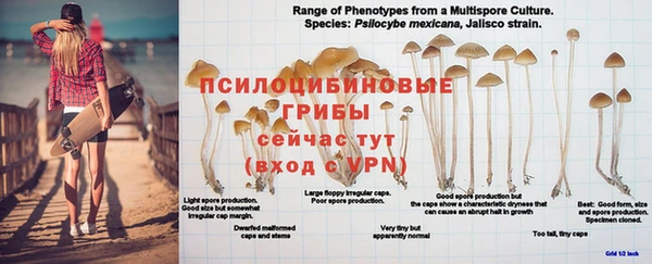 МДМА Бородино